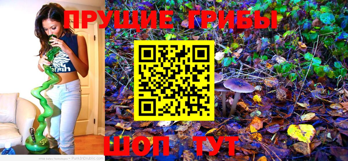 Кириши  Галлюциногенные грибы Psilocybine cubensis  Вход с VPN  Псилоцибиновые грибы Cubensis 